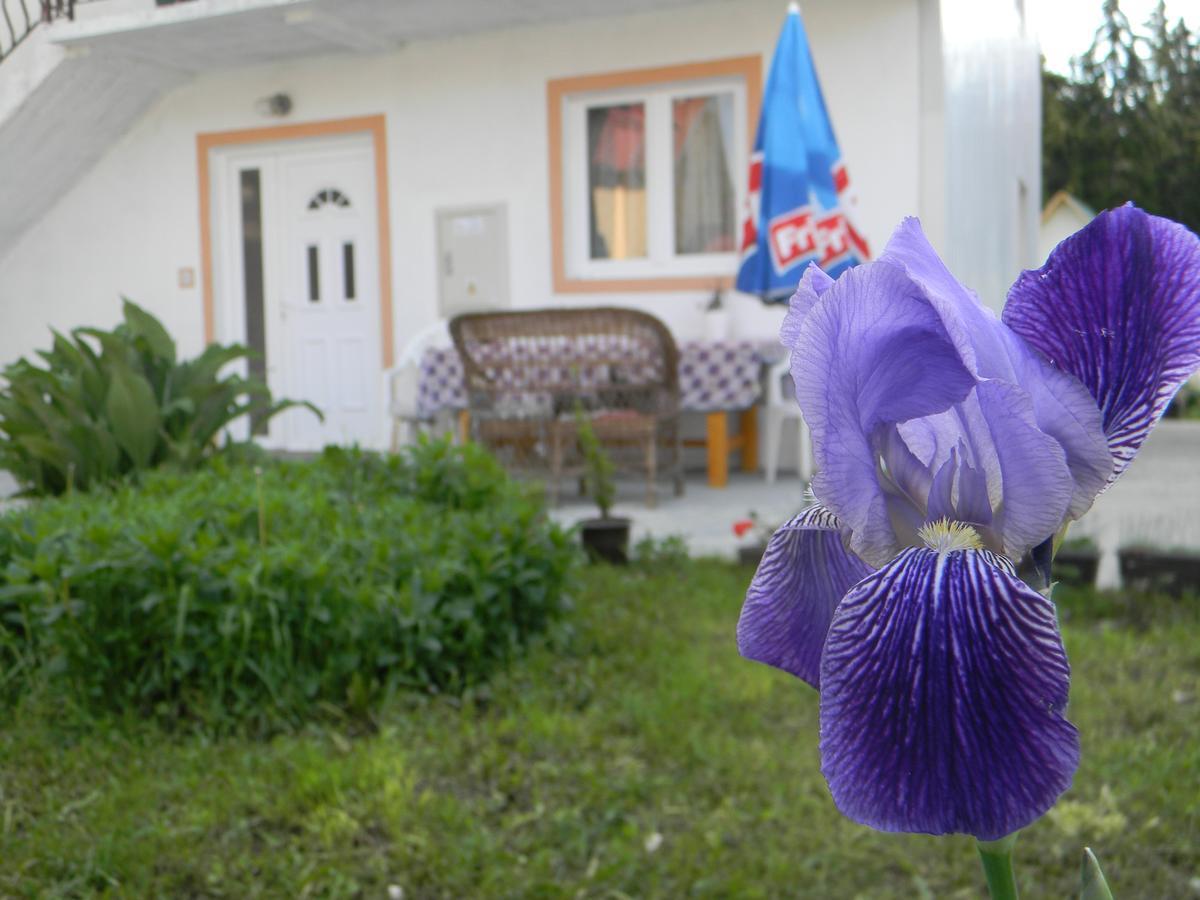 Apartment Mountain Dream Žabljak Buitenkant foto